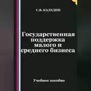 Постер книги Государственная поддержка малого и среднего предпринимательства