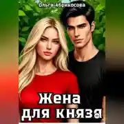 Постер книги Жена для князя