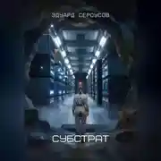 Постер книги Субстрат