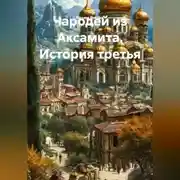Постер книги Чародей из Аксамита. История третья