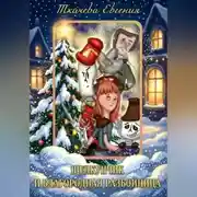 Постер книги Щелкунчик и благородная разбойница.