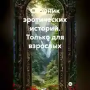 Постер книги Сборник эротических историй.