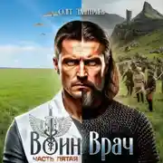 Постер книги Воин-Врач V