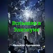 Постер книги Вспышка в Элизиуме