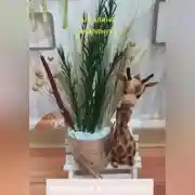 Постер книги Композиции из сухоцветов