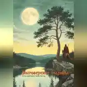 Постер книги Выгозерские былины