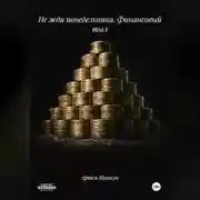 Постер книги Не жди понедельника.Финансовый тыл