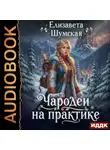 Елизавета Шумская - Записки маленькой ведьмы. Книга 4. Чародеи на практике