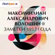 Постер книги Заметки 1917 года