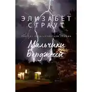 Постер книги Мальчики Берджессы