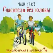 Постер книги Спасатели без головы