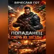 Постер книги Попаданец. Сжечь их звёзды