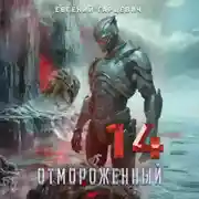Постер книги Отмороженный 14.0