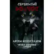 Постер книги Серенькый волчок