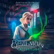 Постер книги Ведьмак без изъяна