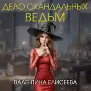 Постер книги Дело скандальных ведьм