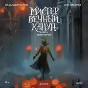 Постер книги Мистер Вечный Канун. Город Полуночи