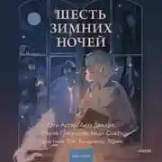 Постер книги Шесть зимних ночей