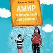 Постер книги Амир и безумный ингредиент
