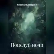 Постер книги Поцелуй ночи