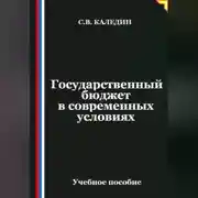 Постер книги Государственный бюджет в современных условиях