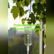 Постер книги Размышления на больничной койке