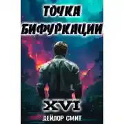 Постер книги Точка Бифуркации 16