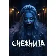 Постер книги Снежница