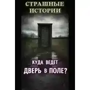 Постер книги Мистические случаи