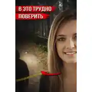 Постер книги Судебная система под прицелом критиков