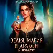 Постер книги Зелья, магия и дракон в придачу