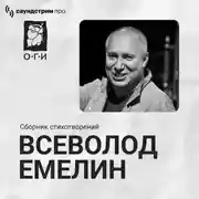 Постер книги Всеволод Емелин. Сборник стихотворений