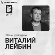 Постер книги Виталий Лейбин. Сборник стихотворений