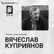 Постер книги Вячеслав Куприянов. Сборник стихотворений