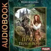Постер книги Наперекор судьбе. Книга 1. Право первой ночи