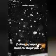 Постер книги Дебет, кредит и Колесо Фортуны 2