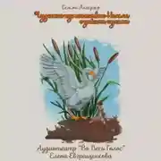 Постер книги Сельма Лагерлёф «Чудесное путешествие Нильса с дикими гусями»