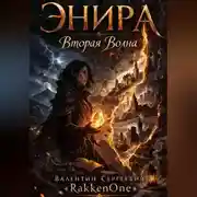 Постер книги Энира. Вторая Волна
