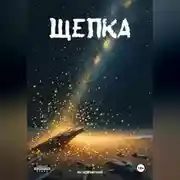 Постер книги Щепка