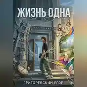 Постер книги Жизнь одна