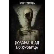 Постер книги Поломанная Богородица