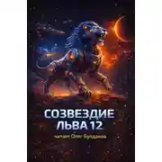 Постер книги Правота