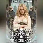 Постер книги Некромант на выселках
