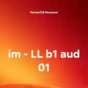Постер книги im – LL b1 aud 01