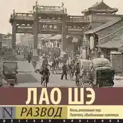 Постер книги Развод