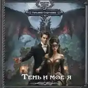 Постер книги Тень и моё я