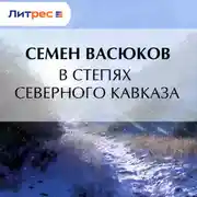 Постер книги В степях Северного Кавказа