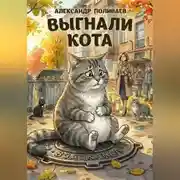 Постер книги Выгнали кота