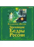 Владимир Мегре - Звенящие кедры России. Второе издание
