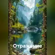 Постер книги Отражение